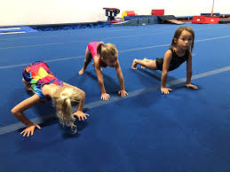 Image result for Redcar School Of Gymnastics