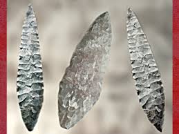 Image result for feuille-laurier-silex