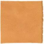 Attēlu rezultāti vaicājumam “Pycnoporellus alboluteus”