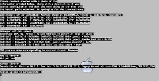 Image result for kernel panic snow leopard