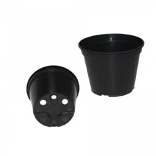 Image result for Конфетти d-23 Кашпо 2109020759412