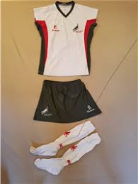 Image result for Norwich Dragons Hockey Club