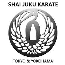 Image result for Seiki Juku Karate Club