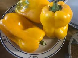 Afbeeldingsresultaat voor giant 3 sweet pepper