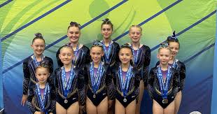 Image result for Tamworth Olympic Gymnastics Club
