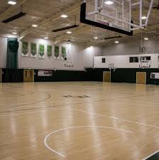 Image result for Nottingham Wildcats