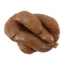 Картинки по запросу ты какашка