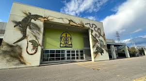 Attēlu rezultāti vaicājumam “Reptilia”