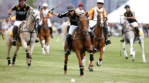 Image result for Kings Ranch Riding School/Club