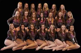 Image result for Arabian School Of Gymnastics