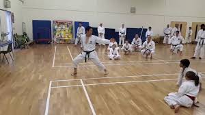 Image result for Kaizen No-Michi School of Shotokan Karate