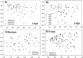 Attēlu rezultāti vaicājumam “Platydictya jungermannioides macro”