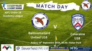 Image result for Ballinamallard United Football Club