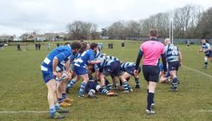 Image result for Hastings & Bexhill Rugby Football Club