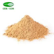 Attēlu rezultāti vaicājumam “Antrodia”