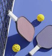 Image result for Culcheth High Badminton Club