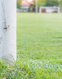 Image result for Molesey Juniors Football Club