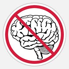 Image result for no brain