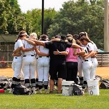 Image result for Cheetahs Softball Team