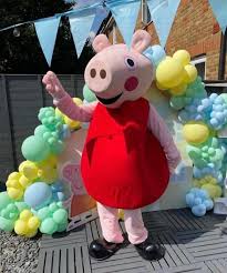 Image result for peppa pig costume
