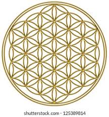 Image result for life flower