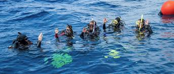 Image result for Divemaster Scuba