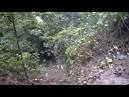 Bus Crash in Bolivia Kills at Least 16 Teens - Worldnews.