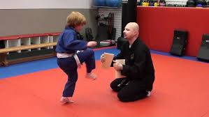 Image result for Synergy Tae Kwon Do
