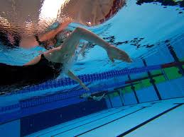 Image result for Abertillery Piranhas Swimming Club