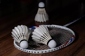 Image result for Shuttles Badminton Club (Frome)
