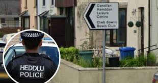 Image result for Tregaron Bowling Club