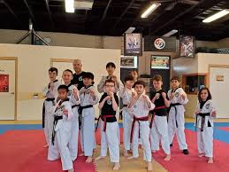 Image result for Everitt Karate Academy