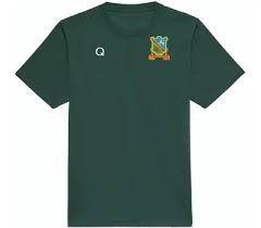 Image result for Ynysygerwn Cricket Club