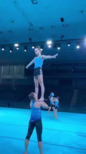 Image result for Elements Acro