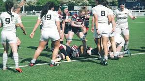 Image result for Shelford Rugby Club