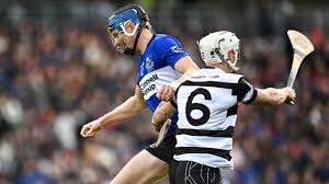 Image result for Patrick Sarsfield Gaelic Athletic Club