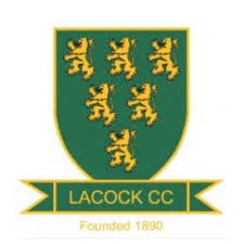 Image result for Redlynch and Hale Cricket Club