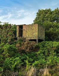 Image result for Teignmouth Golf Club Limited