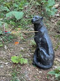 Image result for Row Brow Field Archery