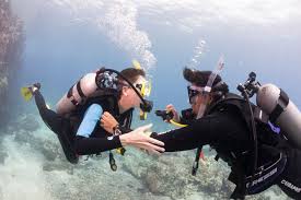 Image result for Manta Divers Sub-Aqua Club