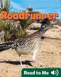 Image result for Reading Roadrunners