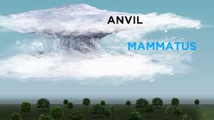 Attēlu rezultāti vaicājumam “Mammatus”