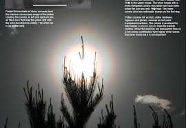 Attēlu rezultāti vaicājumam “pollen corona”