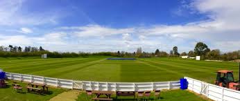 Image result for Taunton Vale Sports Club