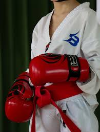 Image result for Bytomic Tae Kwon Do Beaconsfield