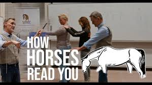 Image result for Jp-Sheffield Eventing