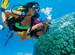 Image result for Scuba Fun