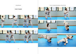 Image result for Tae-jitsu