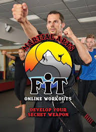 Image result for Bodyfit Martial Arts