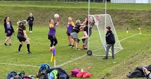 Image result for Carryduff Gaelic Athletic Club